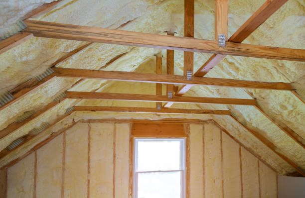 Best Energy-efficient Insulation  in Sheridan, WY