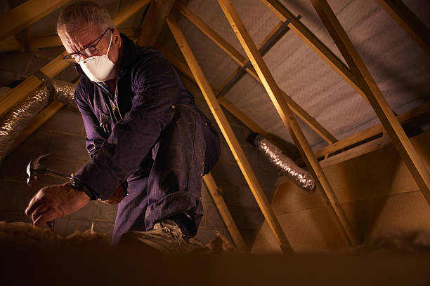 Best Blown-in Insulation  in Sheridan, WY